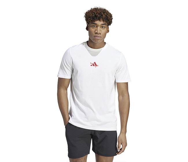 adidas Roland Garros Graphic Tee (M) (White)